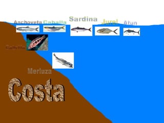 Anchoveta Sardina Caballa Jurel Atun Cabrilla Merluza Costa
