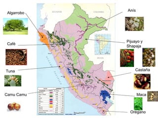 Recursos Naturales Del Perú