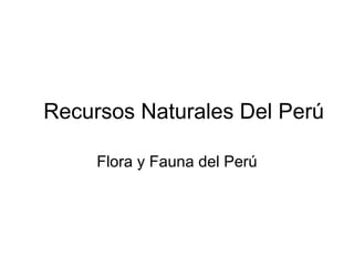 Recursos Naturales Del Perú Flora y Fauna del Perú 