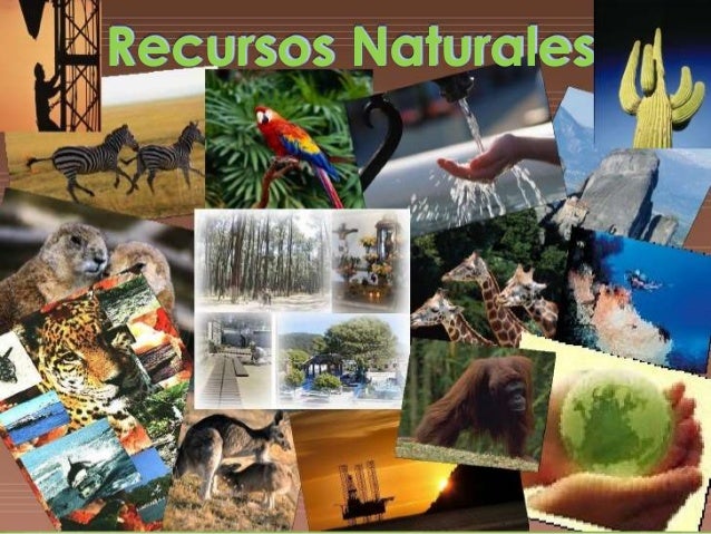 Que Recursos Naturales Hay En Mexico es.slideshare.net