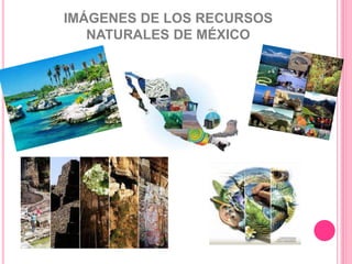 IMÁGENES DE LOS RECURSOS
NATURALES DE MÉXICO
 
