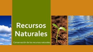 Recursos
Naturales
Conservación de los recursos naturales.
 