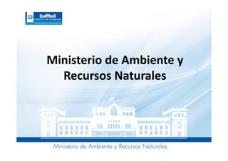 Ministerio de Ambiente y
Recursos Naturales
 