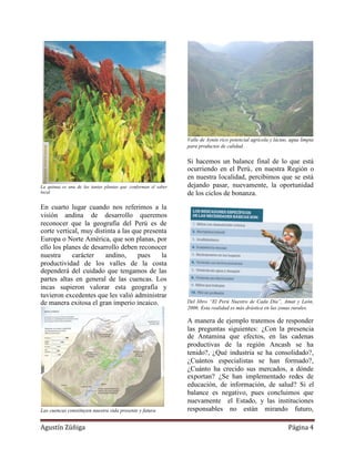 Valle de Aynin rico potencial agrícola y lácteo, agua limpia
                                                                para productos de calidad.


                                                                Si hacemos un balance final de lo que está
                                                                ocurriendo en el Perú, en nuestra Región o
                                                                en nuestra localidad, percibimos que se está
La quinua es una de las tantas plantas que conforman el saber   dejando pasar, nuevamente, la oportunidad
local.                                                          de los ciclos de bonanza.

En cuarto lugar cuando nos referimos a la
visión andina de desarrollo queremos
reconocer que la geografía del Perú es de
corte vertical, muy distinta a las que presenta
Europa o Norte América, que son planas, por
ello los planes de desarrollo deben reconocer
nuestra     carácter    andino,      pues    la
productividad de los valles de la costa
dependerá del cuidado que tengamos de las
partes altas en general de las cuencas. Los
incas supieron valorar esta geografía y
tuvieron excedentes que les valió administrar
de manera exitosa el gran imperio incaico.                      Del libro “El Perú Nuestro de Cada Día”, Amat y León,
                                                                2006. Esta realidad es más drástica en las zonas rurales.

                                                                A manera de ejemplo tratemos de responder
                                                                las preguntas siguientes: ¿Con la presencia
                                                                de Antamina que efectos, en las cadenas
                                                                productivas de la región Ancash se ha
                                                                tenido?, ¿Qué industria se ha consolidado?,
                                                                ¿Cuántos especialistas se han formado?,
                                                                ¿Cuánto ha crecido sus mercados, a dónde
                                                                exportan? ¿Se han implementado redes de
                                                                educación, de información, de salud? Si el
                                                                balance es negativo, pues concluimos que
                                                                nuevamente el Estado, y las instituciones
Las cuencas constituyen nuestra vida presente y futura          responsables no están mirando futuro,

Agustín Zúñiga                                                                                                  Página 4
 