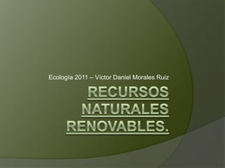 RECURSOS NATURALES RENOVABLES. Ecología 2011 – Víctor Daniel Morales Ruiz 