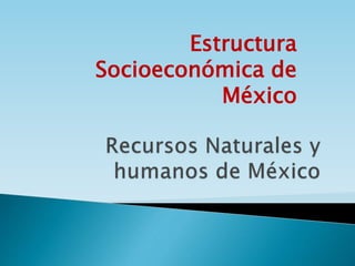Estructura
Socioeconómica de
México
 