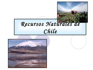 Recursos Naturales de Chile 