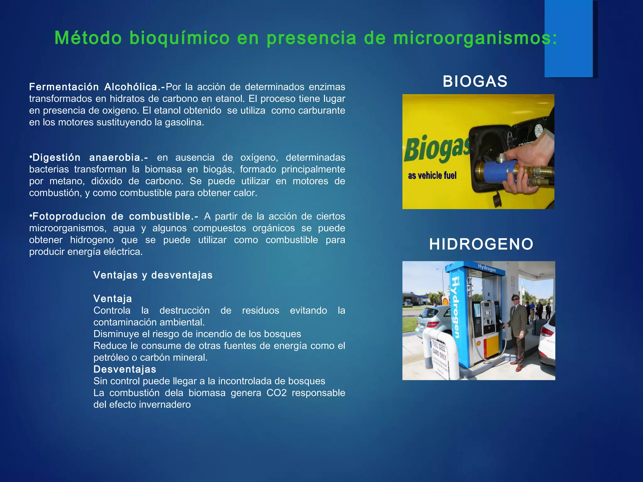 Fermentación Alcohólica.-Por la acción de determinados enzimas
transformados en hidratos de carbono en etanol. El proceso tiene lugar
en presencia de oxigeno. El etanol obtenido se utiliza como carburante
en los motores sustituyendo la gasolina.
•Digestión anaerobia.- en ausencia de oxígeno, determinadas
bacterias transforman la biomasa en biogás, formado principalmente
por metano, dióxido de carbono. Se puede utilizar en motores de
combustión, y como combustible para obtener calor.
•Fotoproducion de combustible.- A partir de la acción de ciertos
microorganismos, agua y algunos compuestos orgánicos se puede
obtener hidrogeno que se puede utilizar como combustible para
producir energía eléctrica.
Ventajas y desventajas
Ventaja
Controla la destrucción de residuos evitando la
contaminación ambiental.
Disminuye el riesgo de incendio de los bosques
Reduce le consume de otras fuentes de energía como el
petróleo o carbón mineral.
Desventajas
Sin control puede llegar a la incontrolada de bosques
La combustión dela biomasa genera CO2 responsable
del efecto invernadero
Método bioquímico en presencia de microorganismos:
BIOGAS
HIDROGENO
 