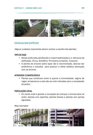 109capítulo 7 - JARDIM SOBRE LAJE
ESCOLHA DAS ESPÉCIES
(Alguns cuidados importantes devem nortear a escolha das plantas)
Tipo De Raiz	
•	 Raízes profundas danificarão a impermeabilização e a estrutura da
edificação. (Ficus, Scheflera, Primavera,Juníperos, Tuias,etc)
•	 O plantio de árvores sobre lajes não é recomendado, deve-se dar
preferência a arbustos para produzir o efeito estético alcançado
com as árvores.
Afinidade Climatológica	
•	 Plantas que combinam entre si quanto à luminosidade, regime de
regas, temperatura e solo são as mais indicadas para a composição
do jardim.
População Local
•	 Em locais onde é grande a circulação de crianças e animais deve se
evitar: plantas com espinhos, plantas tóxicas e plantas com pontas
aguçadas.
Mais exemplos:
Foto:SaritaBruléFoto:MariadeL.daCosta
Foto:MariadeL.daCostaFoto:MariadeL.daCosta
 