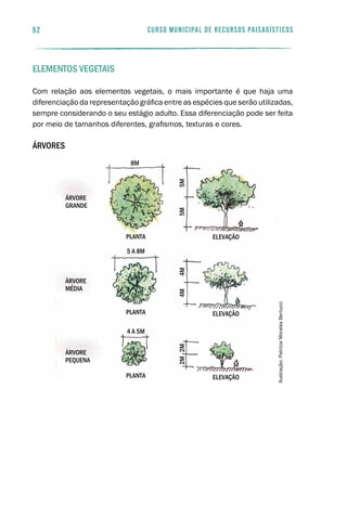 árvore
grande
planta
8m
5 a 8m
planta
4 a 5m
planta
árvore
média
árvore
pequena
elevação
elevação
elevação
5m5m4m4m2m2m
52 curso municipal de recursos paisagísticos
Elementos vegetais
Com relação aos elementos vegetais, o mais importante é que haja uma
diferenciação da representação gráfica entre as espécies que serão utilizadas,
sempre considerando o seu estágio adulto. Essa diferenciação pode ser feita
por meio de tamanhos diferentes, grafismos, texturas e cores.
Árvores
Ilustração:PatríciaMoralesBertucci
 