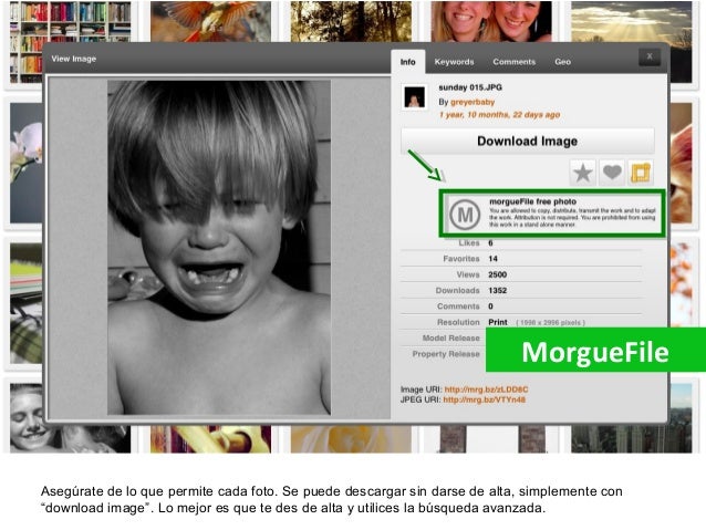 Imagenes Gratis Con Licencia | recursos para encontrar fotos gratis y con licencia para Imagenes Gratis Con Licencia | recursos para encontrar fotos gratis y con licencia para