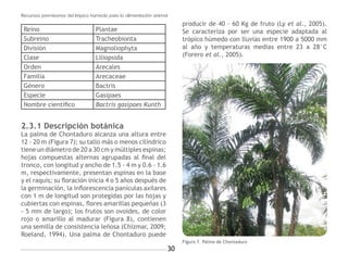 RECURSOS PROMISORIOS DEL TRÓPICO HÚMEDO PARA LA ALIMENTACIÓN ANIMAL | PDF