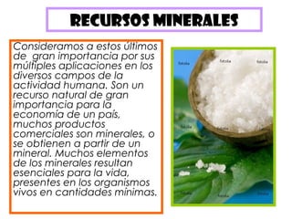RECURSOS MINERALES
Consideramos a estos últimos
de  gran importancia por sus
múltiples aplicaciones en los
diversos campos de la
actividad humana. Son un
recurso natural de gran
importancia para la
economía de un país,
muchos productos
comerciales son minerales, o
se obtienen a partir de un
mineral. Muchos elementos
de los minerales resultan
esenciales para la vida,
presentes en los organismos
vivos en cantidades mínimas.
 