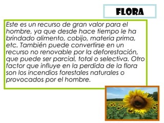 FLORA
Este es un recurso de gran valor para el
hombre, ya que desde hace tiempo le ha
brindado alimento, cobijo, materia prima,
etc. También puede convertirse en un
recurso no renovable por la deforestación,
que puede ser parcial, total o selectiva. Otro
factor que influye en la perdida de la flora
son los incendios forestales naturales o
provocados por el hombre.
 