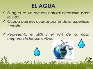EL AGUA
 El agua es un recurso natural necesario para
la vida.
 Ocupa casi tres cuartas partes de la superficie
terrestre.
 Representa el 50% y el 90% de la masa
corporal de los seres vivos.
 