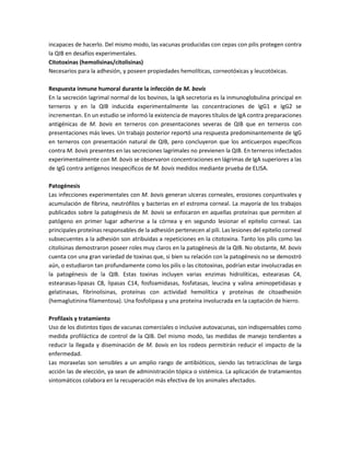 incapaces de hacerlo. Del mismo modo, las vacunas producidas con cepas con pilis protegen contra
la QIB en desafíos experimentales.
Citotoxinas (hemolisinas/citolisinas)
Necesarios para la adhesión, y poseen propiedades hemolíticas, corneotóxicas y leucotóxicas.
Respuesta inmune humoral durante la infección de M. bovis
En la secreción lagrimal normal de los bovinos, la IgA secretoria es la inmunoglobulina principal en
terneros y en la QIB inducida experimentalmente las concentraciones de IgG1 e IgG2 se
incrementan. En un estudio se informó la existencia de mayores títulos de IgA contra preparaciones
antigénicas de M. bovis en terneros con presentaciones severas de QIB que en terneros con
presentaciones más leves. Un trabajo posterior reportó una respuesta predominantemente de IgG
en terneros con presentación natural de QIB, pero concluyeron que los anticuerpos específicos
contra M. bovis presentes en las secreciones lagrimales no previenen la QIB. En terneros infectados
experimentalmente con M. bovis se observaron concentraciones en lágrimas de IgA superiores a las
de IgG contra antígenos inespecíficos de M. bovis medidos mediante prueba de ELISA.
Patogénesis
Las infecciones experimentales con M. bovis generan ulceras corneales, erosiones conjuntivales y
acumulación de fibrina, neutrófilos y bacterias en el estroma corneal. La mayoría de los trabajos
publicados sobre la patogénesis de M. bovis se enfocaron en aquellas proteínas que permiten al
patógeno en primer lugar adherirse a la córnea y en segundo lesionar el epitelio corneal. Las
principales proteínas responsables de la adhesión pertenecen al pili. Las lesiones del epitelio corneal
subsecuentes a la adhesión son atribuidas a repeticiones en la citotoxina. Tanto los pilis como las
citolisinas demostraron poseer roles muy claros en la patogénesis de la QIB. No obstante, M. bovis
cuenta con una gran variedad de toxinas que, si bien su relación con la patogénesis no se demostró
aún, o estudiaron tan profundamente como los pilis o las citotoxinas, podrían estar involucradas en
la patogénesis de la QIB. Estas toxinas incluyen varias enzimas hidrolíticas, estearasas C4,
estearasas-lipasas C8, lipasas C14, fosfoamidasas, fosfatasas, leucina y valina aminopetidasas y
gelatinasas, fibrinolisinas, proteínas con actividad hemolítica y proteínas de citoadhesión
(hemaglutinina filamentosa). Una fosfolipasa y una proteína involucrada en la captación de hierro.
Profilaxis y tratamiento
Uso de los distintos tipos de vacunas comerciales o inclusive autovacunas, son indispensables como
medida profiláctica de control de la QIB. Del mismo modo, las medidas de manejo tendientes a
reducir la llegada y diseminación de M. bovis en los rodeos permitirán reducir el impacto de la
enfermedad.
Las moraxelas son sensibles a un amplio rango de antibióticos, siendo las tetraciclinas de larga
acción las de elección, ya sean de administración tópica o sistémica. La aplicación de tratamientos
sintomáticos colabora en la recuperación más efectiva de los animales afectados.
 