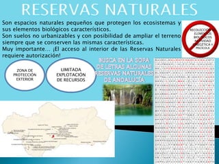 Son espacios naturales pequeños que protegen los ecosistemas y
sus elementos biológicos característicos.
Son suelos no urbanizables y con posibilidad de ampliar el terreno
siempre que se conserven las mismas características.
Muy importante… ¡El acceso al interior de las Reservas Naturales
requiere autorización!
ZONA DE
PROTECCIÓN
EXTERIOR
LIMITADA
EXPLOTACIÓN
DE RECURSOS
RECOLECCIÓN DE
ELEMENTOS
BIOLÓGICOS
ACTIVIDAD
CINEGÉTICA Y
PISCÍCOLA
 