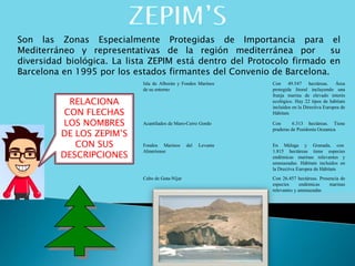 Son las Zonas Especialmente Protegidas de Importancia para el
Mediterráneo y representativas de la región mediterránea por su
diversidad biológica. La lista ZEPIM está dentro del Protocolo firmado en
Barcelona en 1995 por los estados firmantes del Convenio de Barcelona.
RELACIONA
CON FLECHAS
LOS NOMBRES
DE LOS ZEPIM’S
CON SUS
DESCRIPCIONES
Isla de Alborán y Fondos Marinos
de su entorno
Con 49.547 hectáreas. Área
protegida litoral incluyendo una
franja marina de elevado interés
ecológico. Hay 22 tipos de hábitats
incluidos en la Directiva Europea de
Hábitats
Acantilados de Maro-Cerro Gordo Con 6.313 hectáreas. Tiene
praderas de Posidonia Oceanica
Fondos Marinos del Levante
Almeriense
En Málaga y Granada, con
1.815 hectáreas tiene especies
endémicas marinas relevantes y
amenazadas. Hábitats incluidos en
la Drectiva Europea de Hábitats
Cabo de Gata-Níjar Con 26.457 hectáreas. Presencia de
especies endémicas marinas
relevantes y amenazadas
 