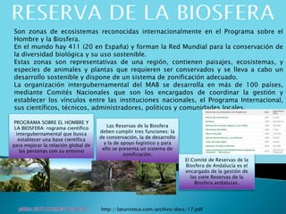 Son zonas de ecosistemas reconocidas internacionalmente en el Programa sobre el
Hombre y la Biosfera.
En el mundo hay 411 (20 en España) y forman la Red Mundial para la conservación de
la diversidad biológica y su uso sostenible.
Estas zonas son representativas de una región, contienen paisajes, ecosistemas, y
especies de animales y plantas que requieren ser conservados y se lleva a cabo un
desarrollo sostenible y dispone de un sistema de zonificación adecuado.
La organización intergubernamental del MAB se desarrolla en más de 100 países,
mediante Comités Nacionales que son los encargados de coordinar la gestión y
establecer los vínculos entre las instituciones nacionales, el Programa Internacional,
sus científicos, técnicos, administradores, políticos y comunidades locales.
PROGRAMA SOBRE EL HOMBRE Y
LA BIOSFERA: rograma científico
intergubernamental que busca
establecer una base científica
para mejorar la relación global de
las personas con su entorno
Las Reservas de la Biosfera
deben cumplir tres funciones; la
de conservación, la de desarrollo
y la de apoyo logístico y para
ello se presenta un sistema de
zonificación.
El Comité de Reservas de la
Biosfera de Andalucía es el
encargado de la gestión de
las siete Reservas de la
Biosfera andaluzas.
http://laturisteca.com/archivo/docs/17.pdf
 