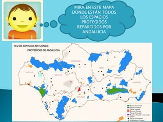 MIRA EN ESTE MAPA
DONDE ESTÁN TODOS
LOS ESPACIOS
PROTEGIDOS
REPARTIDOS POR
ANDALUCIA
 