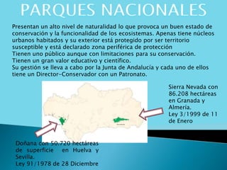 Presentan un alto nivel de naturalidad lo que provoca un buen estado de
conservación y la funcionalidad de los ecosistemas. Apenas tiene núcleos
urbanos habitados y su exterior está protegido por ser territorio
susceptible y está declarado zona periférica de protección
Tienen uno público aunque con limitaciones para su conservación.
Tienen un gran valor educativo y científico.
Su gestión se lleva a cabo por la Junta de Andalucía y cada uno de ellos
tiene un Director-Conservador con un Patronato.
Doñana con 50.720 hectáreas
de superficie en Huelva y
Sevilla.
Ley 91/1978 de 28 Diciembre
Sierra Nevada con
86.208 hectáreas
en Granada y
Almería.
Ley 3/1999 de 11
de Enero
 