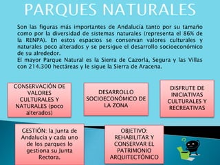 Son las figuras más importantes de Andalucía tanto por su tamaño
como por la diversidad de sistemas naturales (representa el 86% de
la RENPA). En estos espacios se conservan valores culturales y
naturales poco alterados y se persigue el desarrollo socioeconómico
de su alrededor.
El mayor Parque Natural es la Sierra de Cazorla, Segura y las Villas
con 214.300 hectáreas y le sigue la Sierra de Aracena.
CONSERVACIÓN DE
VALORES
CULTURALES Y
NATURALES (poco
alterados)
DESARROLLO
SOCIOECONÓMICO DE
LA ZONA
DISFRUTE DE
INICIATIVAS
CULTURALES Y
RECREATIVAS
OBJETIVO:
REHABILITAR Y
CONSERVAR EL
PATRIMONIO
ARQUITECTÓNICO
GESTIÓN: la Junta de
Andalucía y cada uno
de los parques lo
gestiona su Junta
Rectora.
 