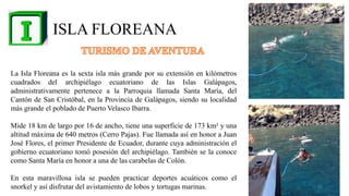 ISLA FLOREANA
La Isla Floreana es la sexta isla más grande por su extensión en kilómetros
cuadrados del archipiélago ecuatoriano de las Islas Galápagos,
administrativamente pertenece a la Parroquia llamada Santa María, del
Cantón de San Cristóbal, en la Provincia de Galápagos, siendo su localidad
más grande el poblado de Puerto Velasco Ibarra.
Mide 18 km de largo por 16 de ancho, tiene una superficie de 173 km² y una
altitud máxima de 640 metros (Cerro Pajas). Fue llamada así en honor a Juan
José Flores, el primer Presidente de Ecuador, durante cuya administración el
gobierno ecuatoriano tomó posesión del archipiélago. También se la conoce
como Santa María en honor a una de las carabelas de Colón.
En esta maravillosa isla se pueden practicar deportes acuáticos como el
snorkel y así disfrutar del avistamiento de lobos y tortugas marinas. 12
 