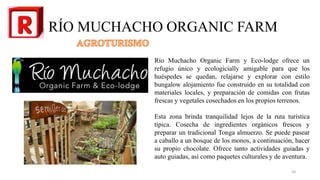 RÍO MUCHACHO ORGANIC FARM
Río Muchacho Organic Farm y Eco-lodge ofrece un
refugio único y ecologicially amigable para que los
huéspedes se quedan, relajarse y explorar con estilo
bungalow alojamiento fue construido en su totalidad con
materiales locales, y preparación de comidas con frutas
frescas y vegetales cosechados en los propios terrenos.
Esta zona brinda tranquilidad lejos de la ruta turística
típica. Cosecha de ingredientes orgánicos frescos y
preparar un tradicional Tonga almuerzo. Se puede pasear
a caballo a un bosque de los monos, a continuación, hacer
su propio chocolate. Ofrece tanto actividades guiadas y
auto guiadas, así como paquetes culturales y de aventura.
20
 