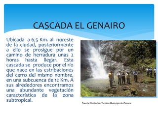 CASCADA EL GENAIRO
Ubicada a 6,5 Km. al noreste
de la ciudad, posteriormente
a ello se prosigue por un
camino de herradura unas 2
horas hasta llegar. Esta
cascada se produce por el río
que nace en las estribaciones
del cerro del mismo nombre,
en una subcuenca de 12 Km. A
sus alrededores encontramos
una abundante vegetación
característica de la zona
subtropical.                    Fuente: Unidad de Turismo Municipio de Zamora
 