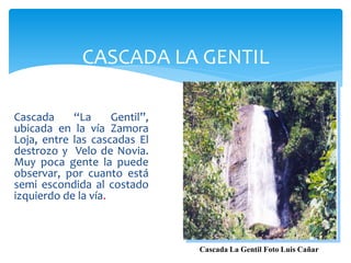 CASCADA LA GENTIL

Cascada     “La      Gentil”,
ubicada en la vía Zamora
Loja, entre las cascadas El
destrozo y Velo de Novia.
Muy poca gente la puede
observar, por cuanto está
semi escondida al costado
izquierdo de la vía.



                                Cascada La Gentil Foto Luis Cañar
 