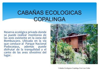 CABAÑAS ECOLOGICAS
              COPALINGA

Reserva ecológica privada donde
se puede realizar monitoreo de
las aves existente en la zona del
Bombuscaro. Ubicada en la vía
que conduce al Parque Nacional
Podocarpus, además puede
disfrutar de la tranquilidad y el
canto de las aves silvestres del
lugar.



                                    Cabañas Ecológicas Copalinga Foto Luis Cañar
 