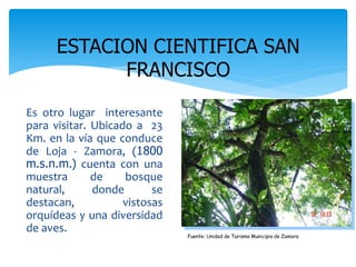ESTACION CIENTIFICA SAN
            FRANCISCO

Es otro lugar interesante
para visitar. Ubicado a 23
Km. en la vía que conduce
de Loja - Zamora, (1800
m.s.n.m.) cuenta con una
muestra       de    bosque
natural,      donde       se
destacan,           vistosas
orquídeas y una diversidad
de aves.
                               Fuente: Unidad de Turismo Municipio de Zamora
 