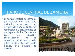 PARQUE CENTRAL DE ZAMORA
 El parque central de Zamora,
  por muchos años había sido
  olvidado, hasta que en el
  periodo del 2004 al 2009, fue
  remodelado y actualmente es
  un orgullo de los Zamoranos
  tener        un       atractivo
  arquitectónico       de       la
  actualidad, en el centro de la
  pileta existe el loro de cuello
  blanco, ave símbolo de
  Zamora.
 