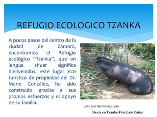 REFUGIO ECOLOGICO TZANKA
A pocos pasos del centro de la
ciudad         de     Zamora,
encontramos       el  Refugio
ecológico “Tzanka”, que en
lengua      shuar     significa
bienvenidos, este lugar eco
turístico de propiedad del Dr.
Mario González, ha sido
construido gracias a sus
propios esfuerzos y el apoyo
de su familia.
                                  LORO EXISTENTE EN EL LUGAR

                                        Danta en Tzanka Foto Luis Cañar
 