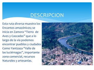 DESCRIPCION
Esta ruta diversa muestra los
Encantos amazónicos; se
inicia en Zamora “Tierra de
Aves y Cascadas” que a lo
largo de la vía podemos
encontrar pueblos y ciudades
Como Yantzaza “Valle de
las luciérnagas”, importante
zona comercial, recursos
Naturales y artesanías.
 