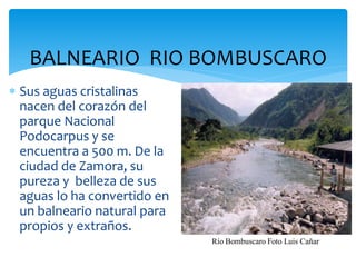 BALNEARIO RIO BOMBUSCARO
 Sus aguas cristalinas
  nacen del corazón del
  parque Nacional
  Podocarpus y se
  encuentra a 500 m. De la
  ciudad de Zamora, su
  pureza y belleza de sus
  aguas lo ha convertido en
  un balneario natural para
  propios y extraños.
                              Río Bombuscaro Foto Luis Cañar
 