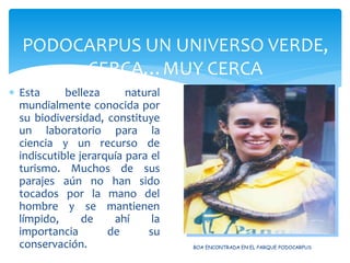 PODOCARPUS UN UNIVERSO VERDE,
       CERCA…MUY CERCA
 Esta      belleza      natural
  mundialmente conocida por
  su biodiversidad, constituye
  un laboratorio para la
  ciencia y un recurso de
  indiscutible jerarquía para el
  turismo. Muchos de sus
  parajes aún no han sido
  tocados por la mano del
  hombre y se mantienen
  límpido,      de    ahí     la
  importancia        de      su
  conservación.                    BOA ENCONTRADA EN EL PARQUE PODOCARPUS
 