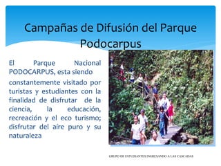 Campañas de Difusión del Parque
             Podocarpus
El       Parque      Nacional
PODOCARPUS, esta siendo
constantemente visitado por
turistas y estudiantes con la
finalidad de disfrutar de la
ciencia,     la    educación,
recreación y el eco turismo;
disfrutar del aíre puro y su
naturaleza

                                GRUPO DE ESTUDIANTES INGRESANDO A LAS CASCADAS
 