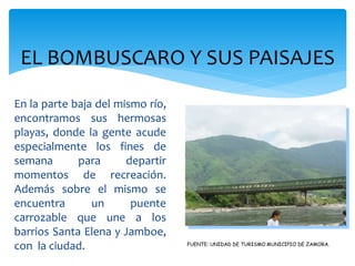 EL BOMBUSCARO Y SUS PAISAJES
En la parte baja del mismo río,
encontramos sus hermosas
playas, donde la gente acude
especialmente los fines de
semana       para      departir
momentos de recreación.
Además sobre el mismo se
encuentra       un      puente
carrozable que une a los
barrios Santa Elena y Jamboe,
                                  FUENTE: UNIDAD DE TURISMO MUNICIPIO DE ZAMORA.
con la ciudad.
 