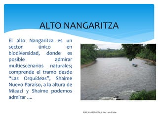 ALTO NANGARITZA
El alto Nangaritza es un
sector       único         en
biodiversidad, donde es
posible              admirar
multiescenarios naturales;
comprende el tramo desde
“Las Orquídeas”, Shaime
Nuevo Paraíso, a la altura de
Miaazi y Shaime podemos
admirar ....

                                RIO NANGARITZA foto Luis Cañar
 