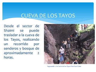 CUEVA DE LOS TAYOS
Desde el sector de
Shaimi     se    puede
trasladar a la cueva de
los Tayos, realizando
un    recorrido     por
senderos y bosque de
aproximadamente 2
horas.

                          Ingresando a la Cueva de los Tayos Foto Luis Cañar
 