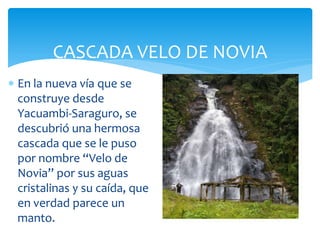 CASCADA VELO DE NOVIA
 En la nueva vía que se
  construye desde
  Yacuambi-Saraguro, se
  descubrió una hermosa
  cascada que se le puso
  por nombre “Velo de
  Novia” por sus aguas
  cristalinas y su caída, que
  en verdad parece un
  manto.
 