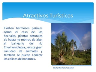 Atractivos Turísticos
Existen hermosos paisajes
como el caso de los
hachales, plantas naturales
de hasta 30 metros de alto;
el    balneario     del   río
Chuchumbletza,; existe gran
cantidad de animales y
también se puede admirar
las colinas delimitantes.

                                Hacho Morete Foto Guamán
 
