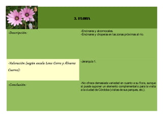 3. FLORA


                                                 -Encinares y alcornocales.
-Descripción:                                    -Encinares y choperas en las zonas próximas al río.




                                                 -Jerarquía 1.
-Valoración (según escala Leno Cerro y Álvarez
Cuervo):


                                                 -No ofrece demasiada variedad en cuanto a su flora, aunque
-Conclusión:                                     sí puede suponer un elemento complementario para la visita
                                                 a la ciudad de Córdoba (visitas de sus parques, etc.).
 