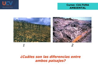 Curso: CULTURA
                           AMBIENTAL




 1                          2


¿Cuáles son las diferencias entre
        ambos paisajes?
 