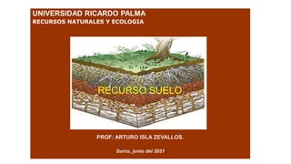UNIVERSIDAD RICARDO PALMA
RECURSOS NATURALES Y ECOLOGIA
PROF: ARTURO ISLA ZEVALLOS.
Surco, junio del 2021
RECURSO SUELO
 