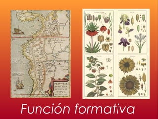 Función formativa
 