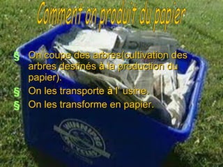 On coupe des  arbres(cultivation  des arbres  destin é s   à  la production du papier).  On les transporte  à  l’ usine. On les transforme en papier. Comment on produit du papier  