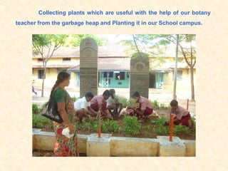 Collecting plants which are useful with the help of our botany
teacher from the garbage heap and Planting it in our School campus.
 