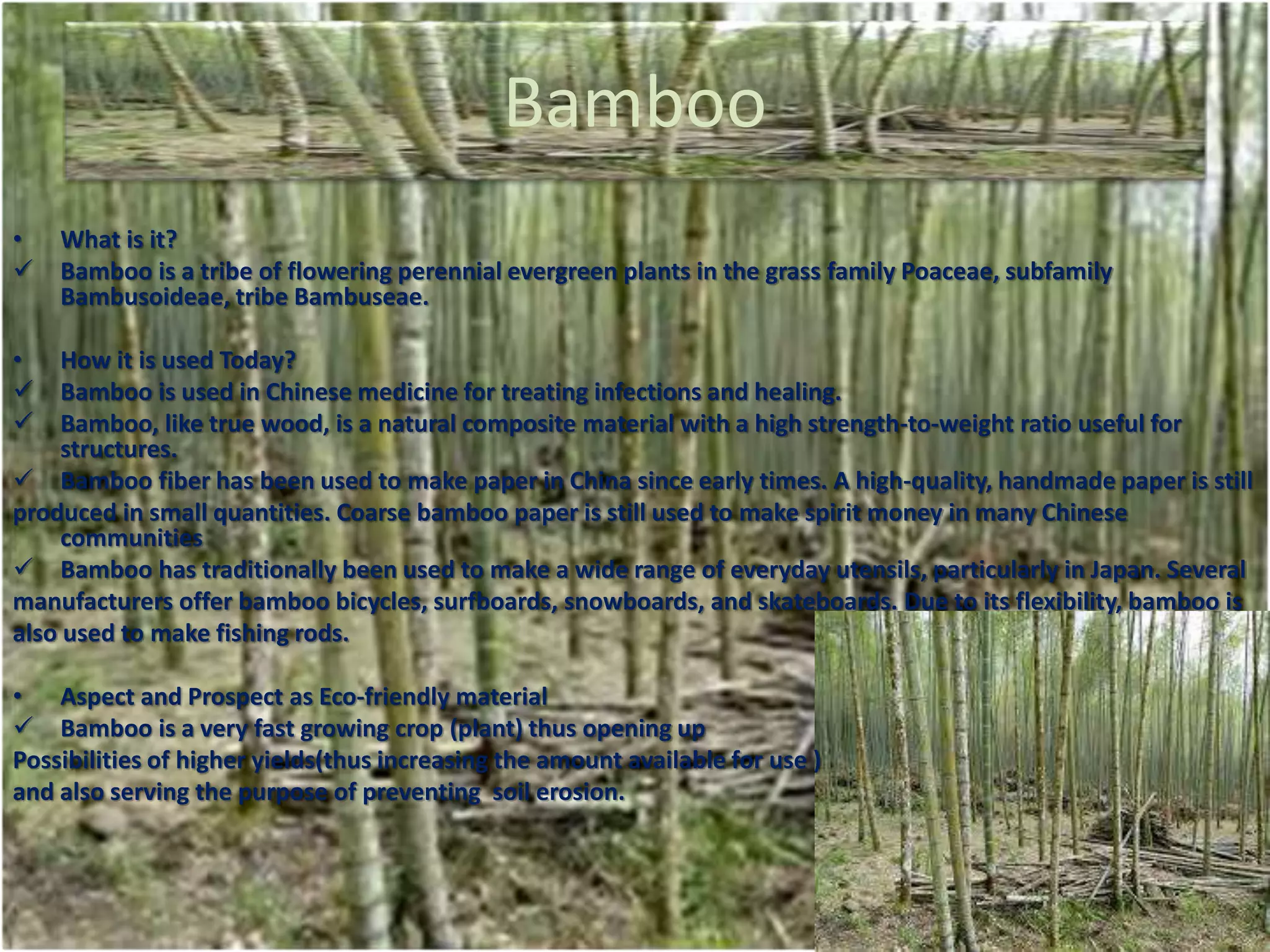 Bamboo
• What is it?
 Bamboo is a tribe of flowering perennial evergreen plants in the grass family Poaceae, subfamily
Bambusoideae, tribe Bambuseae.
• How it is used Today?
 Bamboo is used in Chinese medicine for treating infections and healing.
 Bamboo, like true wood, is a natural composite material with a high strength-to-weight ratio useful for
structures.
 Bamboo fiber has been used to make paper in China since early times. A high-quality, handmade paper is still
produced in small quantities. Coarse bamboo paper is still used to make spirit money in many Chinese
communities
 Bamboo has traditionally been used to make a wide range of everyday utensils, particularly in Japan. Several
manufacturers offer bamboo bicycles, surfboards, snowboards, and skateboards. Due to its flexibility, bamboo is
also used to make fishing rods.
• Aspect and Prospect as Eco-friendly material
 Bamboo is a very fast growing crop (plant) thus opening up
Possibilities of higher yields(thus increasing the amount available for use )
and also serving the purpose of preventing soil erosion.
 
